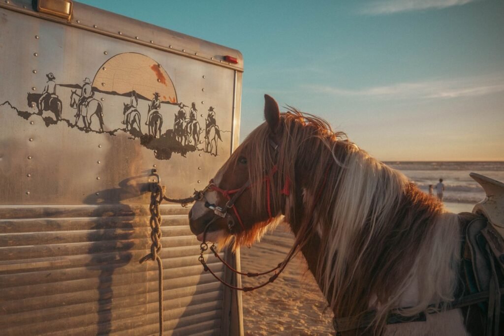 Cheval et remorque à chevaux, contexte de transport équestre